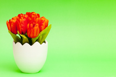 Similar image 535298