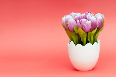 Similar image 535305