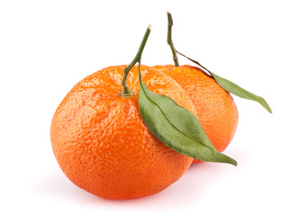 Similar image 535307