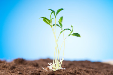 Similar image 535331