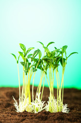 Similar image 535333