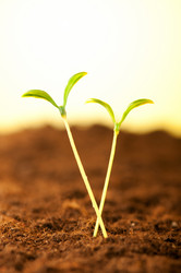 Similar image 535334