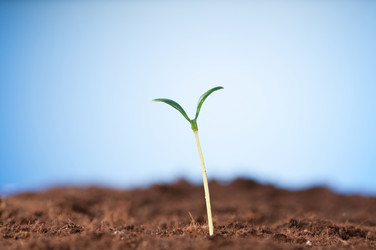 Similar image 535336