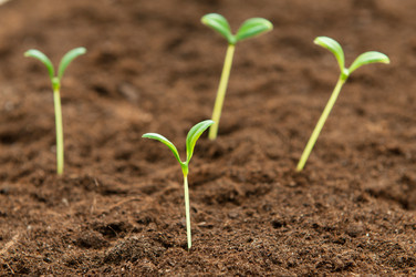 Similar image 535338