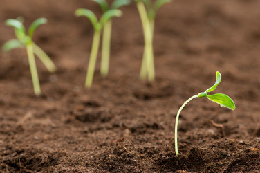 Similar image 535340