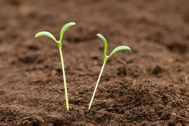 Similar image 535341