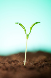 Similar image 535343