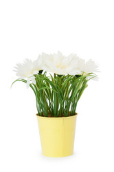 Similar image 535347