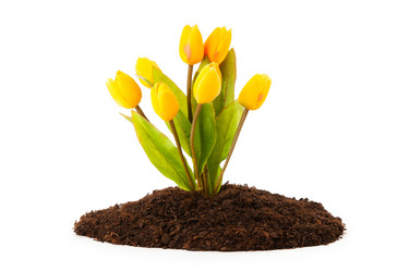 Similar image 535348