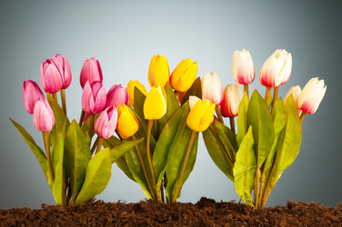 Similar image 535356