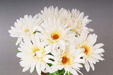 Similar image 535359