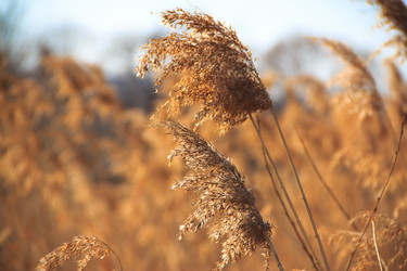 Similar image 535459