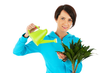 Similar image 535464