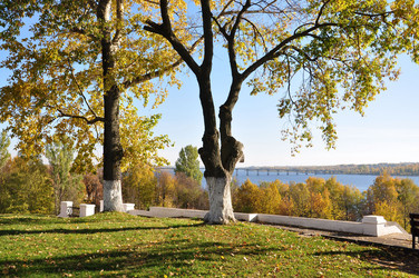 Similar image 535565