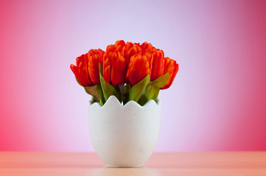 Similar image 535600