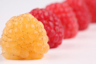 Similar image 535666