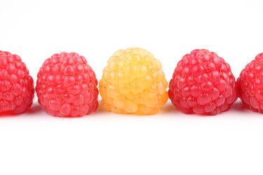 Similar image 535667