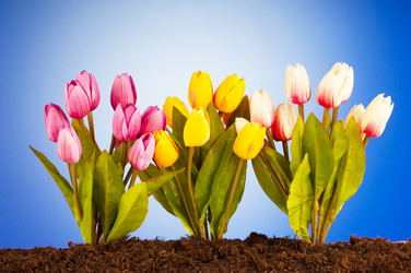 Similar image 535783