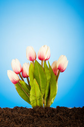 Similar image 535788