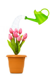 Similar image 535793