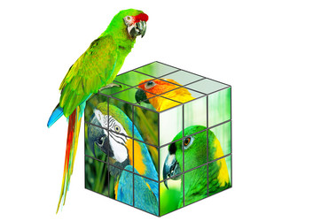 Similar image 535932