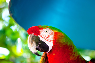 Similar image 535933