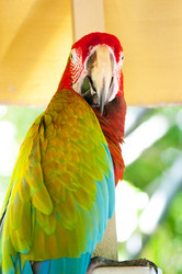 Similar image 535936