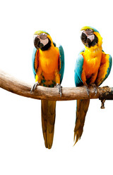 Similar image 535958