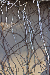 Similar image 535994