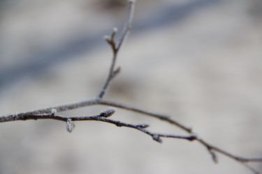 Similar image 535995