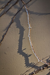 Similar image 535996