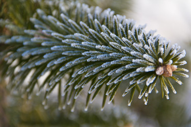 Similar image 535999