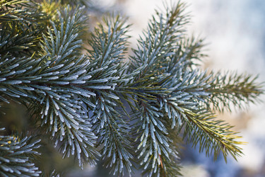 Similar image 536000