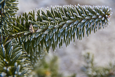 Similar image 536003