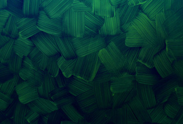 Similar image 536069