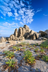 Similar image 536104