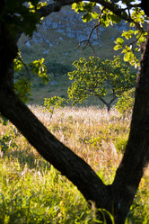 Similar image 536123