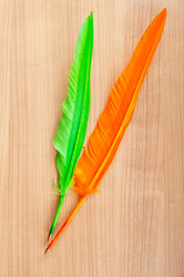 Similar image 536194