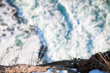 Similar image 536213