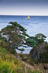 Similar image 536251