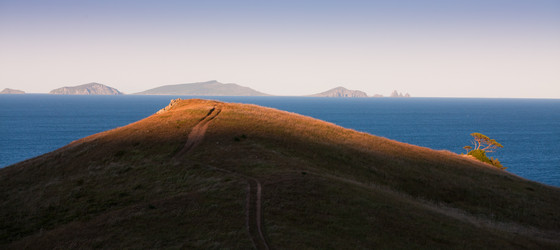 Similar image 536259