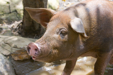 Similar image 536275