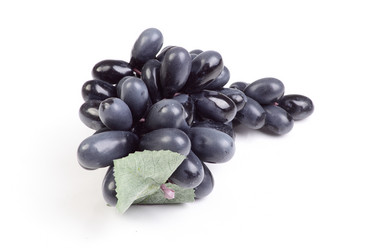 Similar image 536284