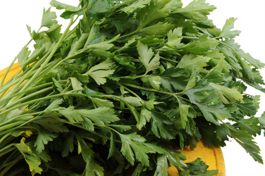 Similar image 536297