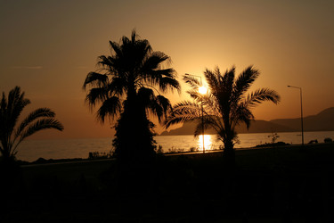 Similar image 536300