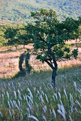 Similar image 536301