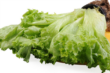 Similar image 536302