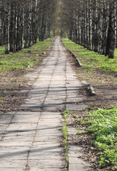 Similar image 536309