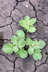 Similar image 536316