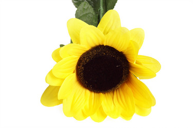 Similar image 536329